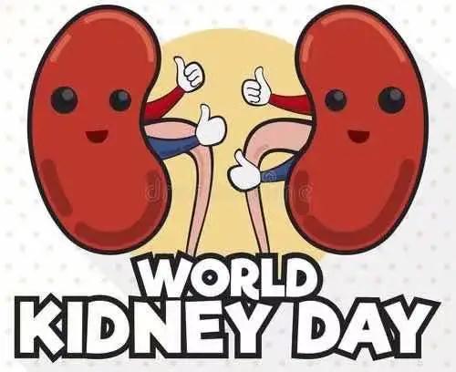 积极面对肾病 共享精彩人生——世界肾脏日义诊活动