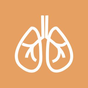 肺病科