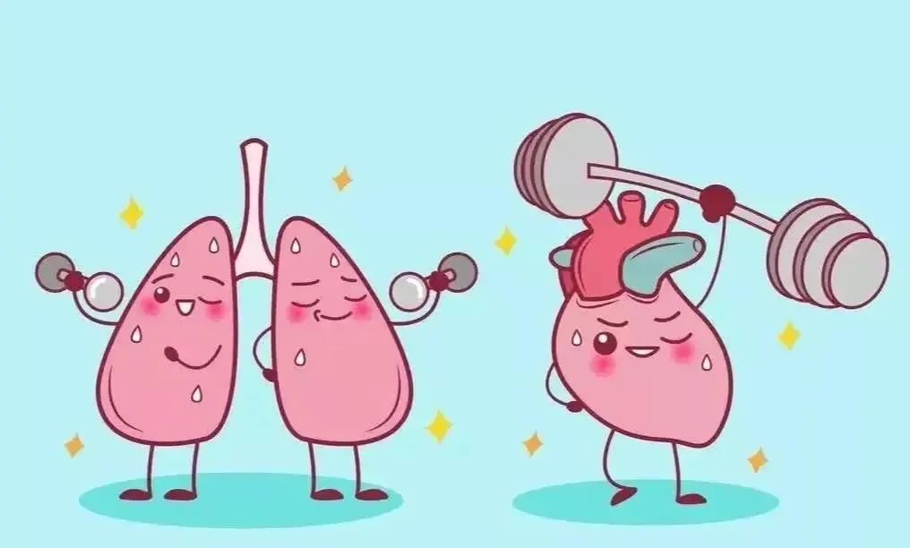 【医疗科普】呼吸通畅，守护健康