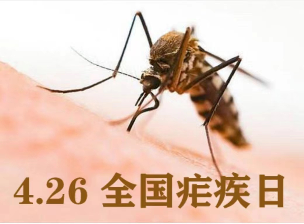 【医疗科普】全国疟疾日——疾控小知识