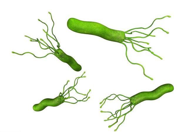 【健康科普】幽门螺旋杆菌阳性，咋个办？