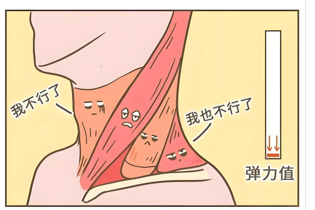 【医疗科普】“项背痛克星”——改良五禽戏之“猿提训练”