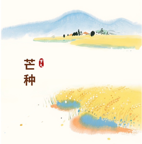 【节气养生】芒种之时，健脾祛湿